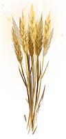 Wheat