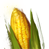 Corn
